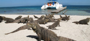 Cayo_las_Iguanas_cuba